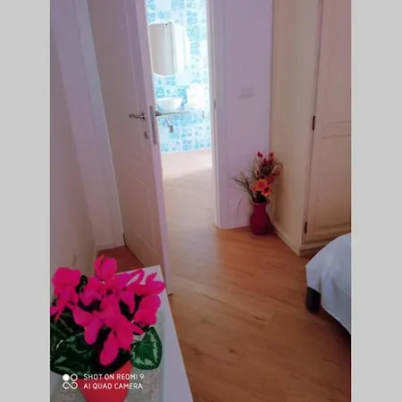 Apartment La Bombonieras Iun Q2740 Alghero